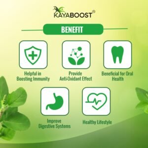 Kayaboost Tulsi Drops 30ml – 100% Ayurvedic Immunity Booster, Extract of 5 Types of Tulsi, Herbal Tulsi Liquid for Cough, Cold & Digestion (Pack of 2)