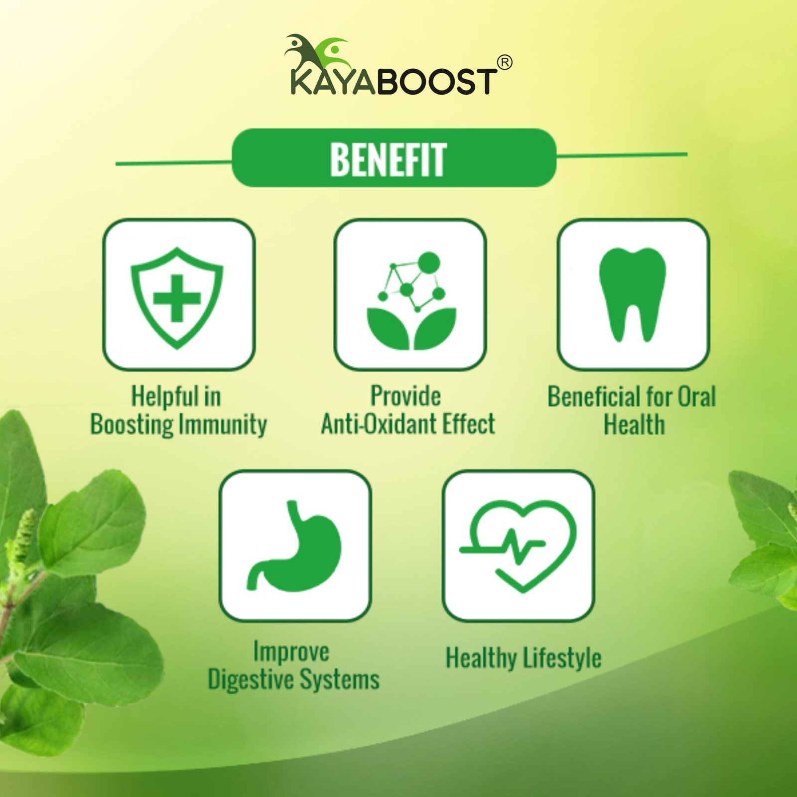 Kayaboost Tulsi Drops 30ml – 100% Ayurvedic Immunity Booster, Extract of 5 Types of Tulsi, Herbal Tulsi Liquid for Cough, Cold & Digestion (Pack of 2)