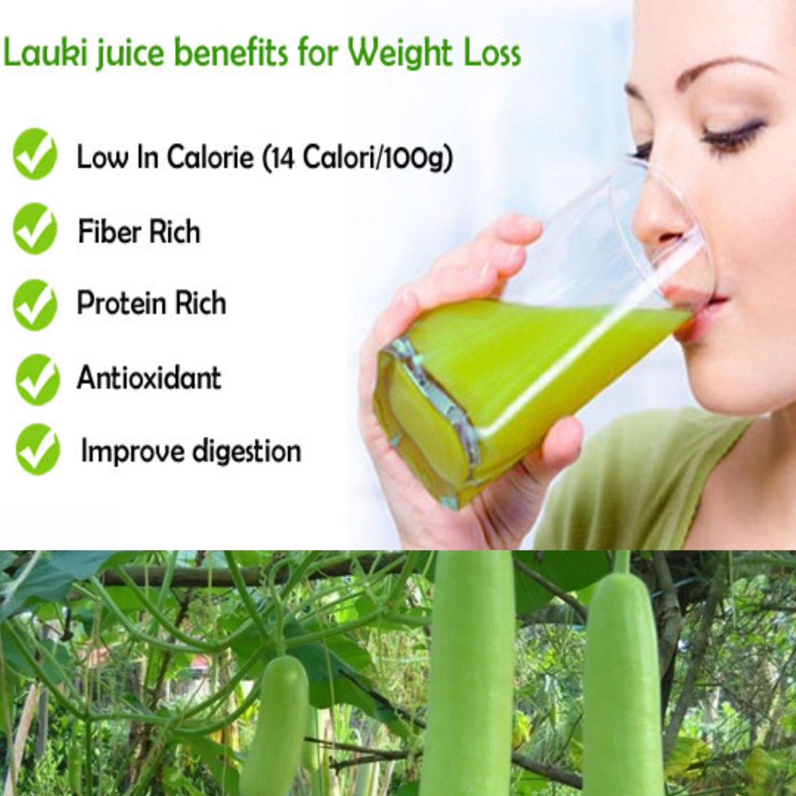 Kayaboost Lauki Juice 500ml – 100% Natural Bottle Gourd (Lagenaria Siceraria) Juice | Supports Digestion, Detox & Weight Management | No Added Sugar | Vegan Ayurvedic Health Drink